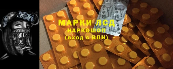 гидра Туринск