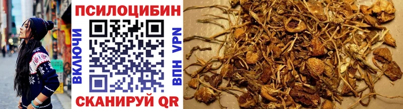 что такое   Трубчевск  мега сайт  Псилоцибиновые грибы мухоморы 